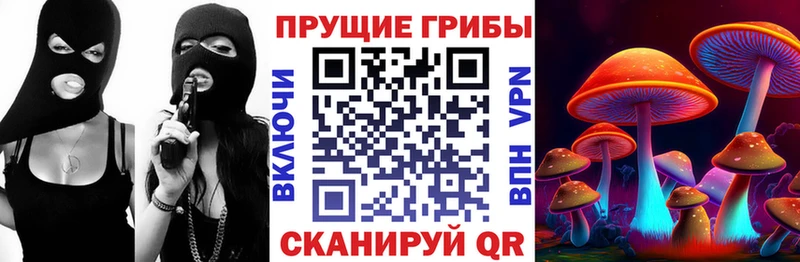 Псилоцибиновые грибы Cubensis  где можно купить   Владикавказ 