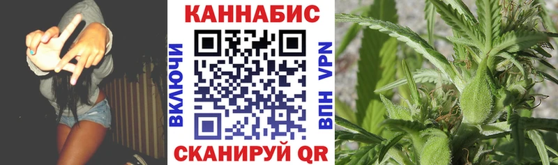 как найти закладки  Владикавказ  Каннабис SATIVA & INDICA 